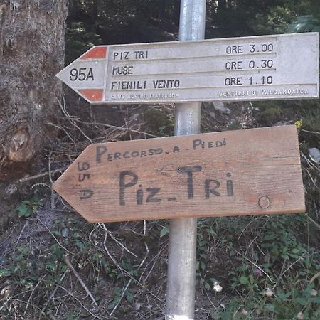 Casa Vacanza Pineta Malonno Εξωτερικό φωτογραφία