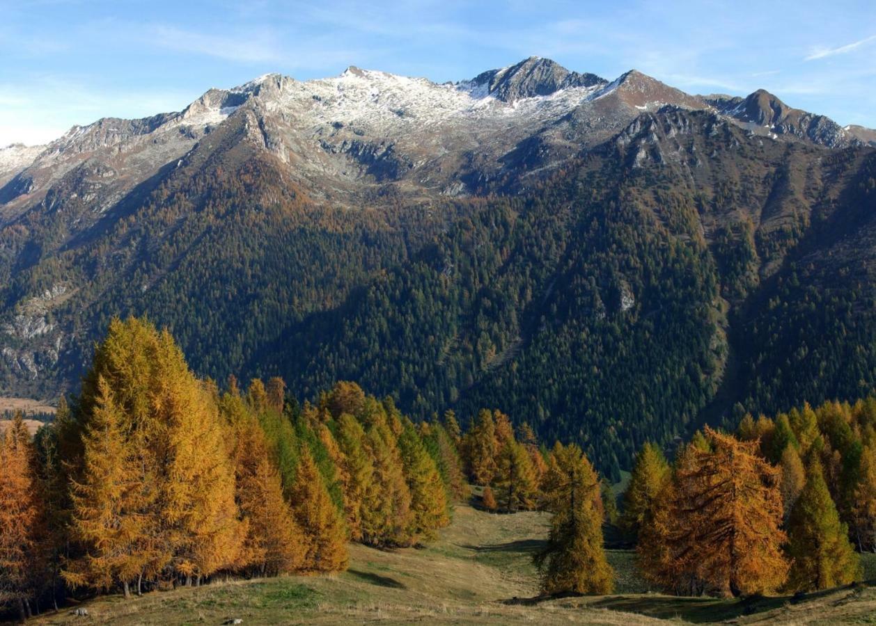 Casa Vacanza Pineta Malonno Εξωτερικό φωτογραφία