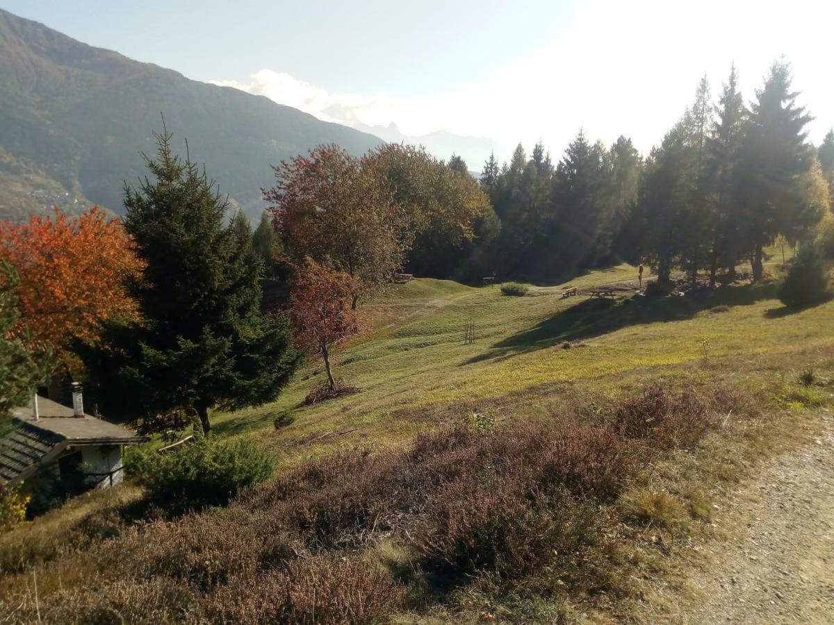 Casa Vacanza Pineta Malonno Εξωτερικό φωτογραφία